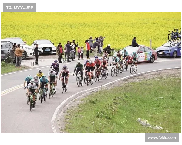 青海环湖自行车赛事故酿伤亡敲响安全警钟